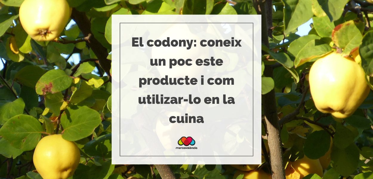El codony: coneix un poc este producte i com utilizar-lo en la cuina